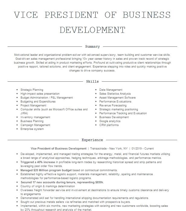 Sr Vice President Business Development Resume Example