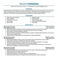 Professional Merchandise Associate Resume Examples