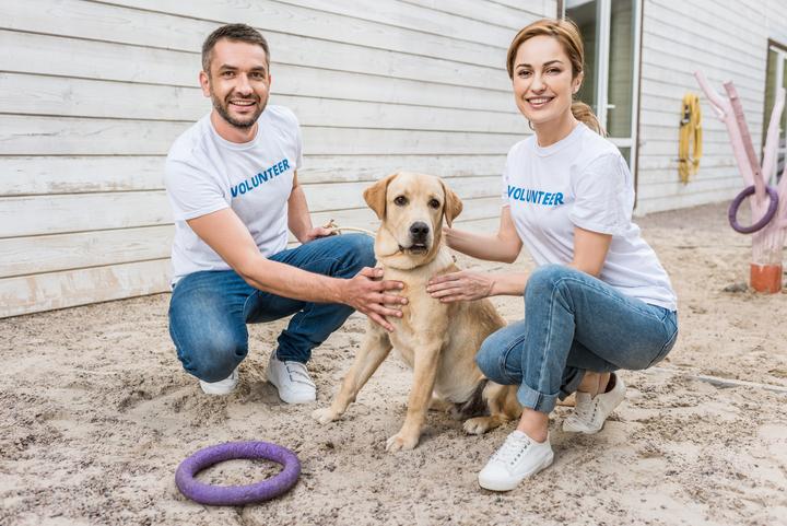 Two volunteers help a dog.