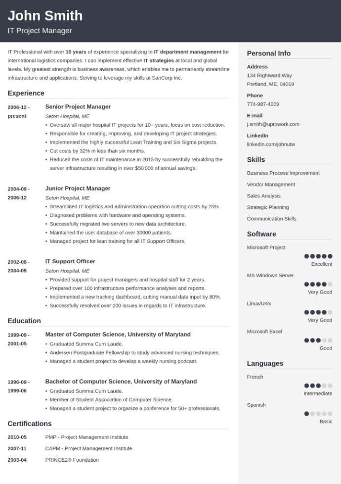 Cubic Resume Template Zety