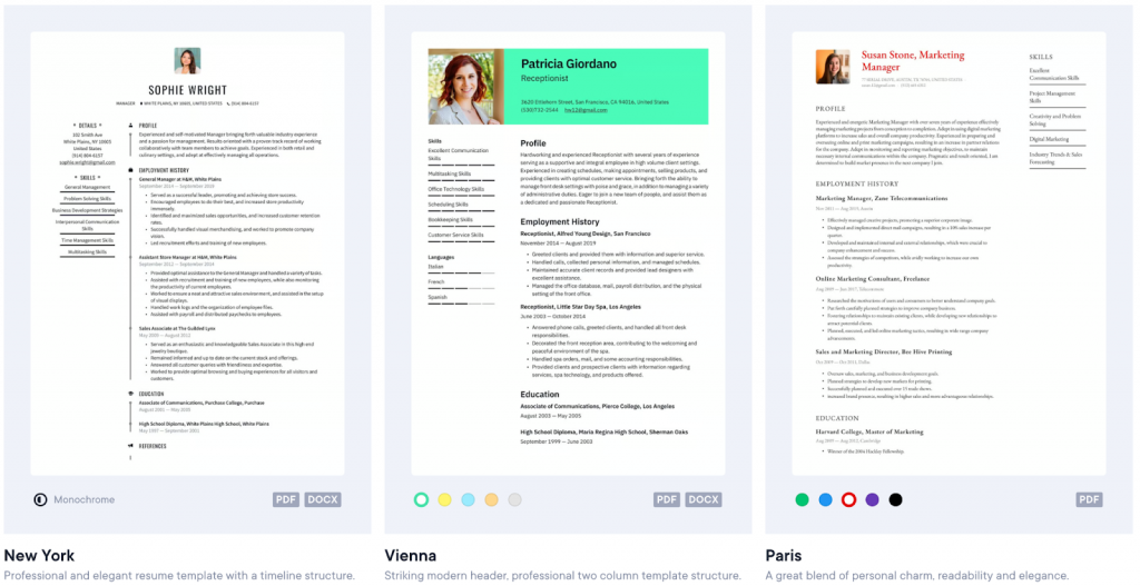 Resumeio Professional Templates