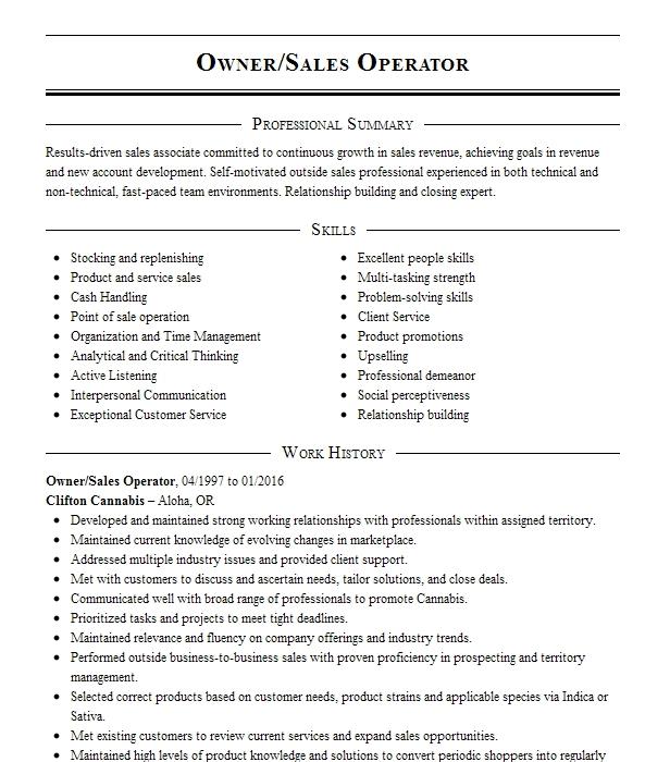 Owner Sales Operator Resume Example