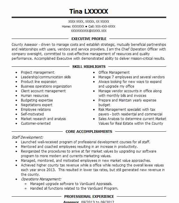 Assessor Resume Example