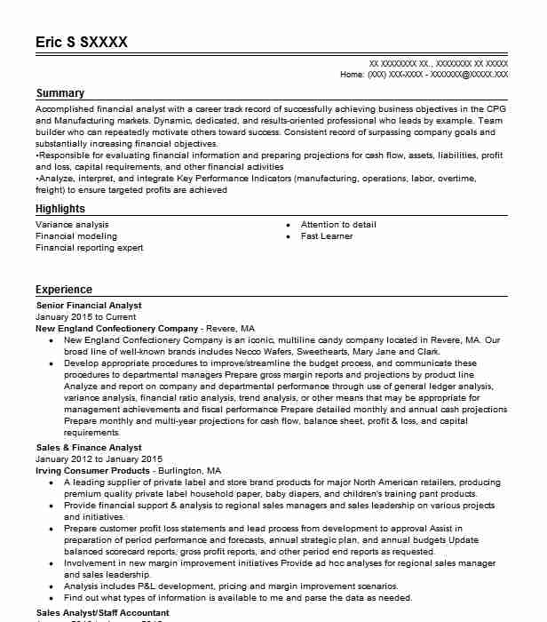 Senior Financial Analyst Resume Example