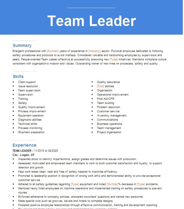 Team Leader Resume Example