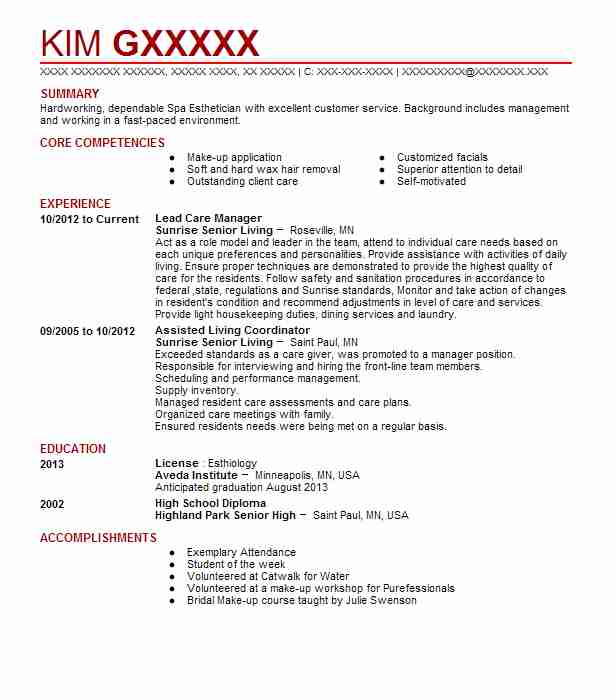 Lead Care Manager Resume Example