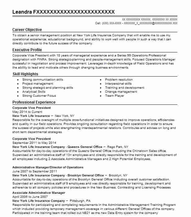 Vice President Corporate Marketing Resume Example