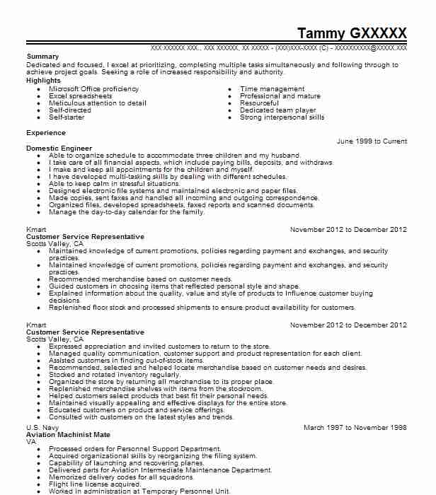 Homemaker Domestic Engineer Resume Example