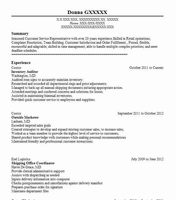 Inventory Auditor Resume Example