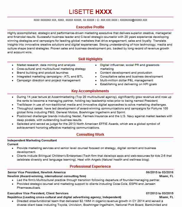 Senior Vice President Senior Fellow Resume Example