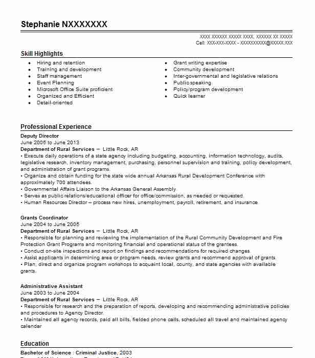 Deputy Director Resume Example