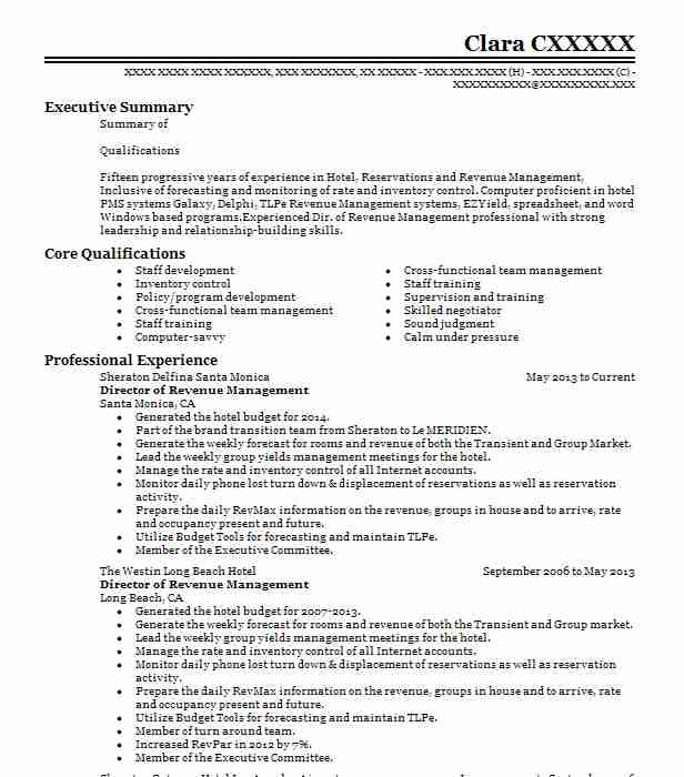 Director Of Sales Revenue Resume Example