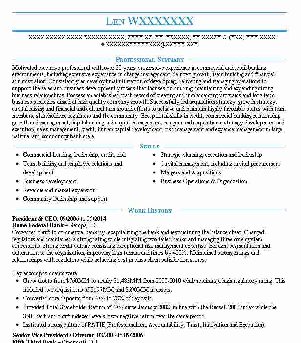 President & Ceo Resume Example