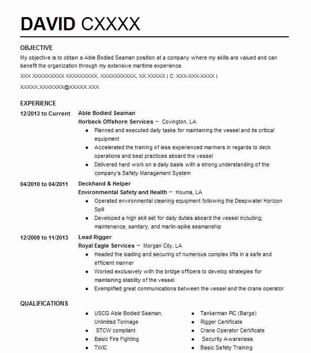 Leading Seaman Resume Example