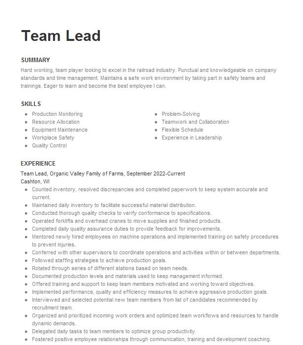 Team Lead Resume Example