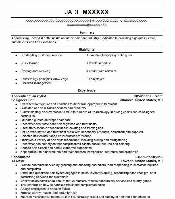 Apprentice Hairstylist Resume Example