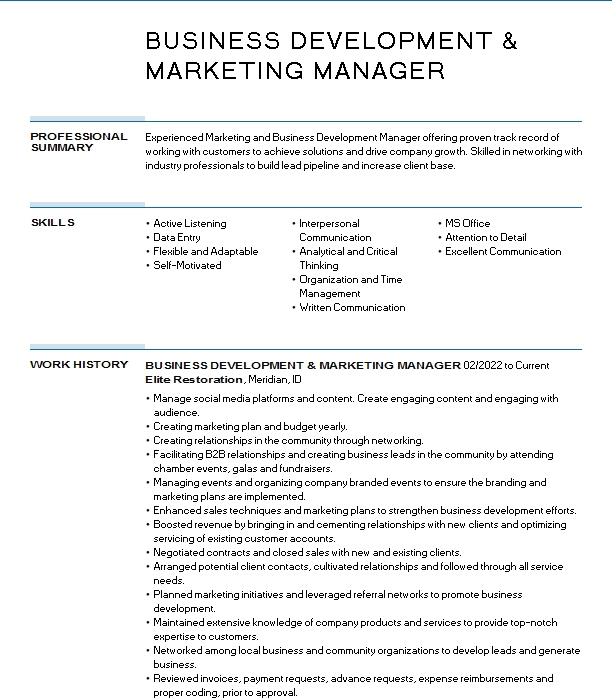 Marketing & Business Development Manager Resume Example