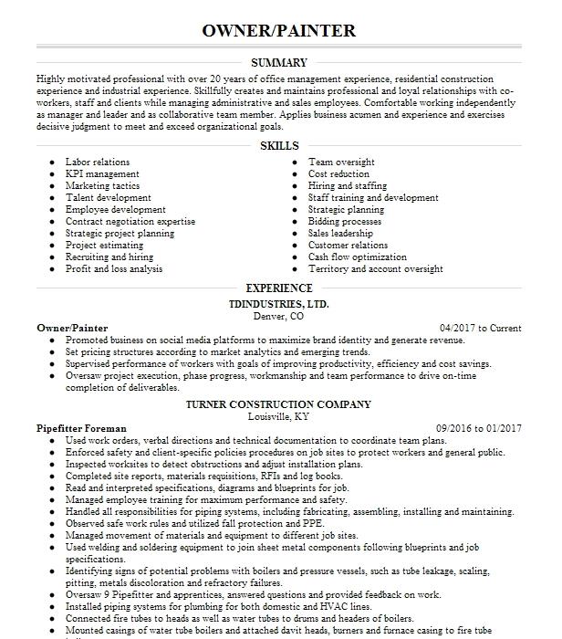 Owner Painter Resume Example