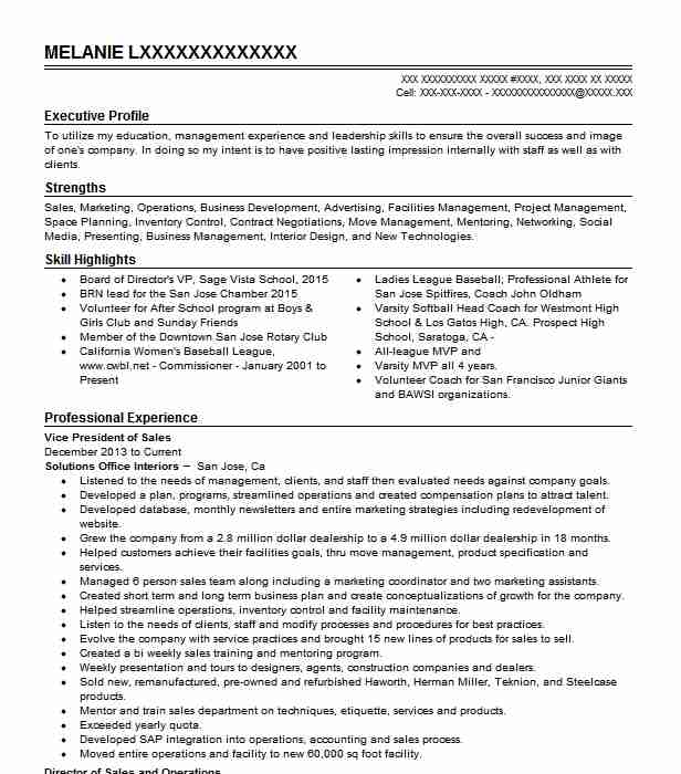 Vice President Of Sales Resume Example