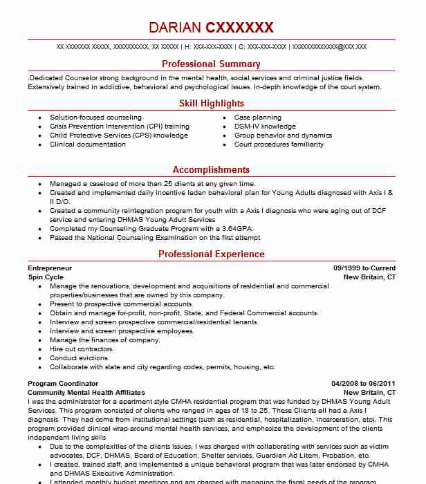 Entrepreneur Resume Example