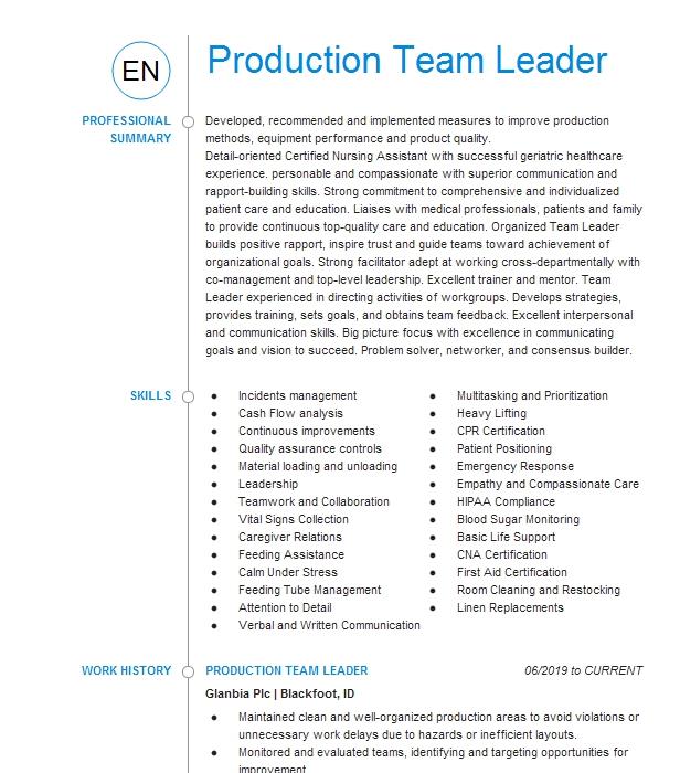 Production Team Leader Resume Example