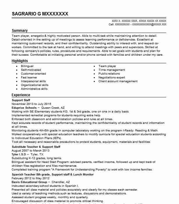 Support Staff Resume Example