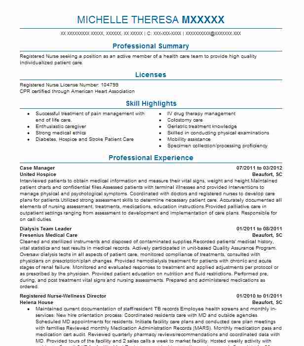 Case Manager Resume Example