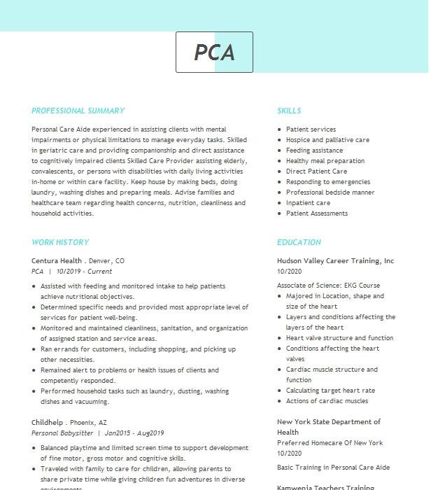 Pca Resume Example