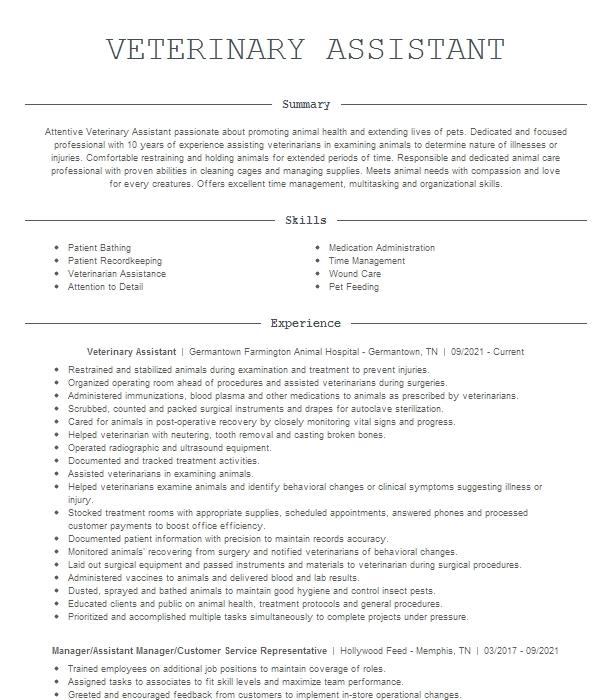 Veterinary Assistant ( Vet Tech Student) Resume Example