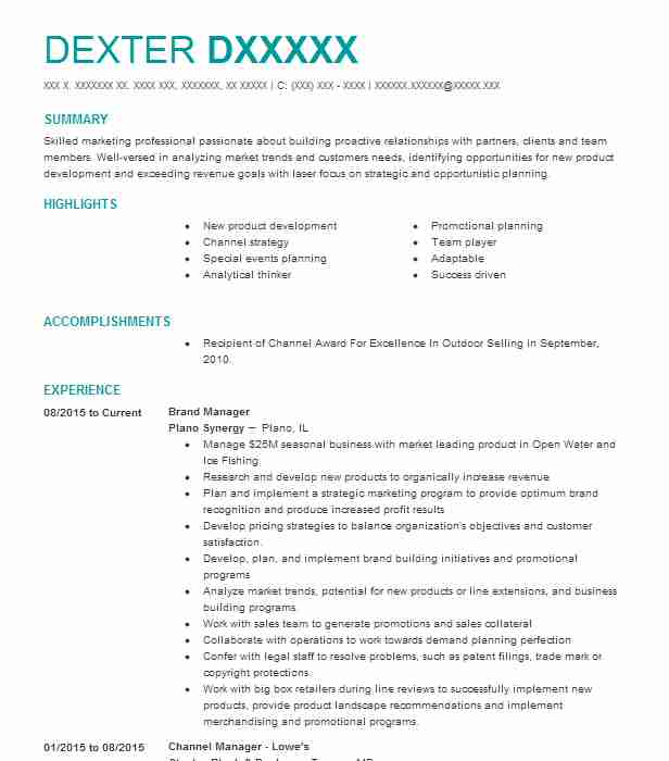 Brand Manager Resume Example