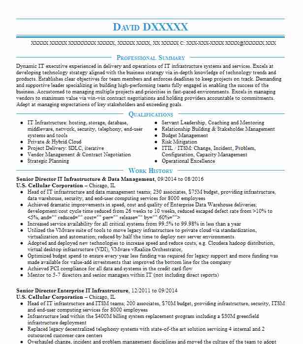 Executive Director Data Management Resume Example