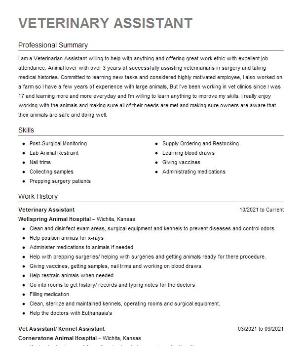 Veterinary Assistant ( Vet Tech Student) Resume Example