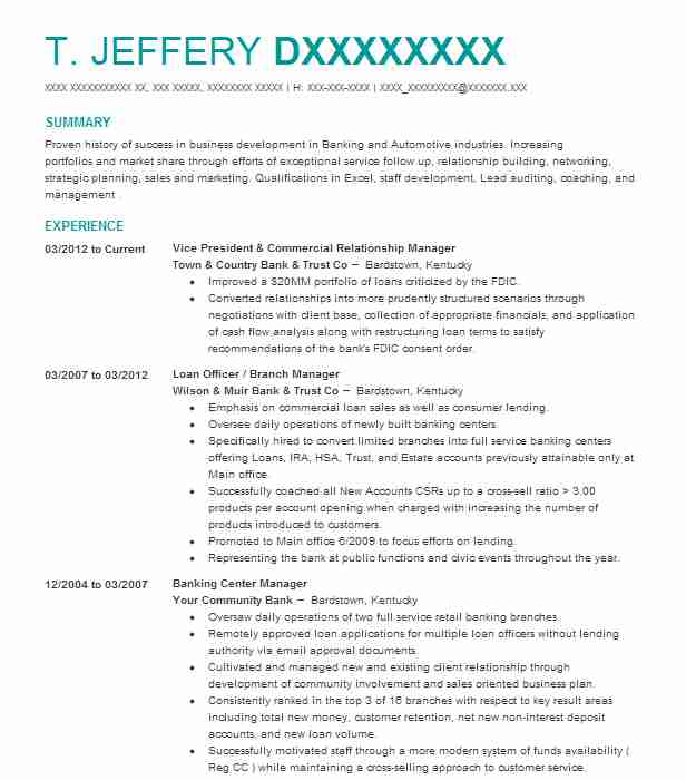 Vice President Business Relationship Manager Resume Example