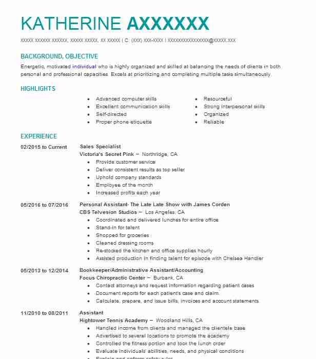 Sales Specialist Resume Example