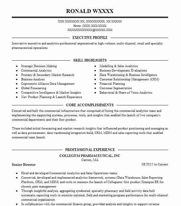 Senior Director Resume Example