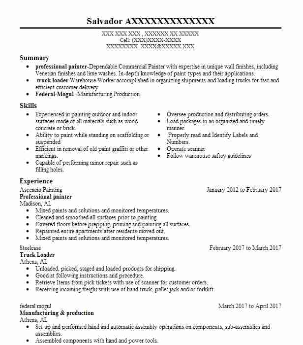 Professional Painter Resume Example