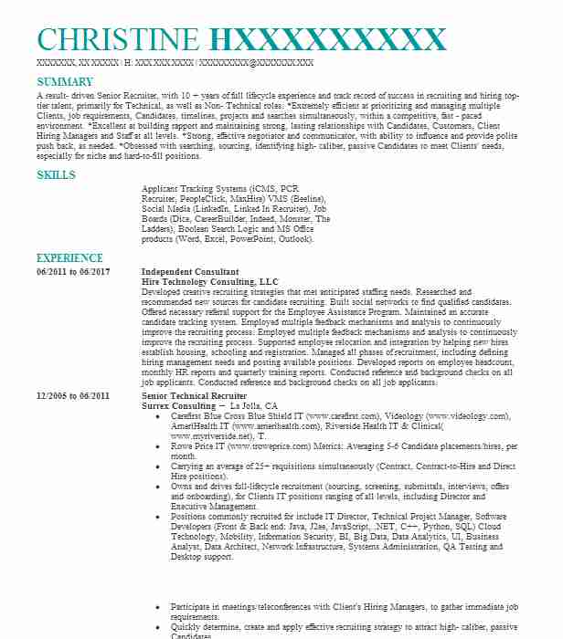 Independent Consultant Resume Example