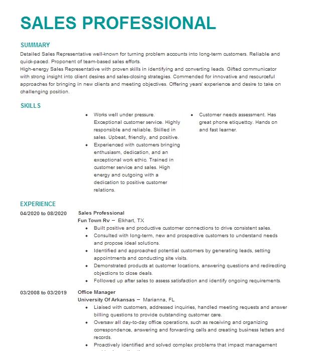 Sales Professional Resume Example