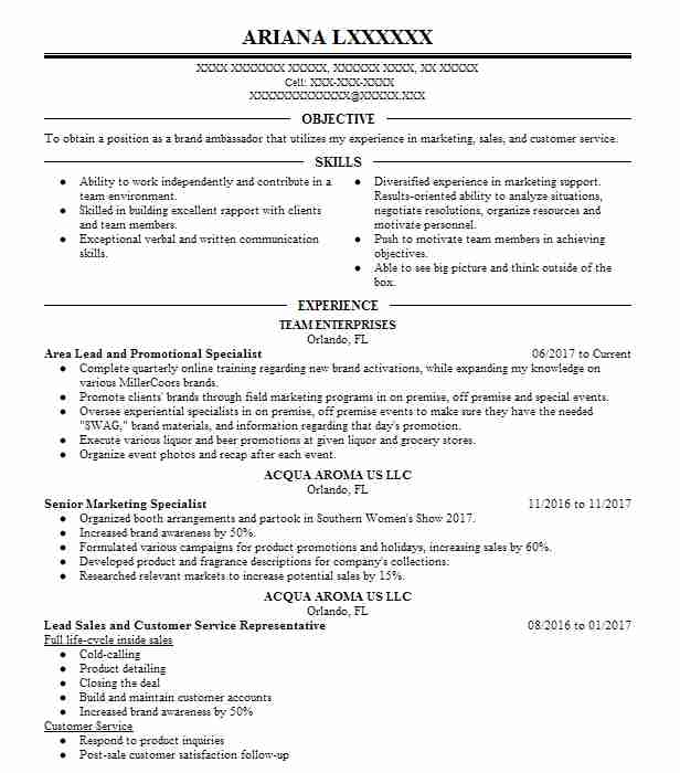 Lead Area Manager Resume Example