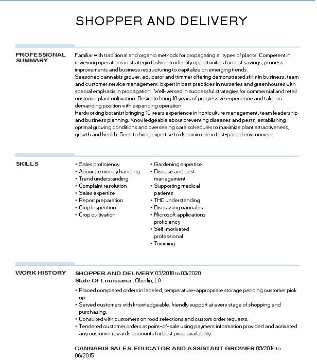 Delivery Shopper Resume Example