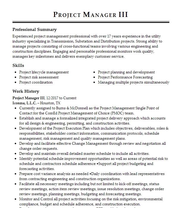 Project Manager Iii Resume Example