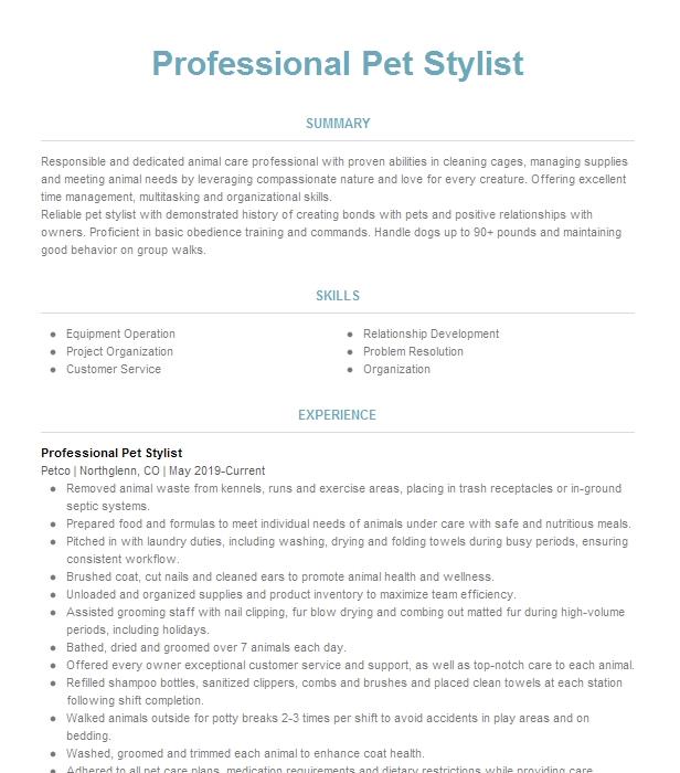 Professional Pet Stylist Resume Example