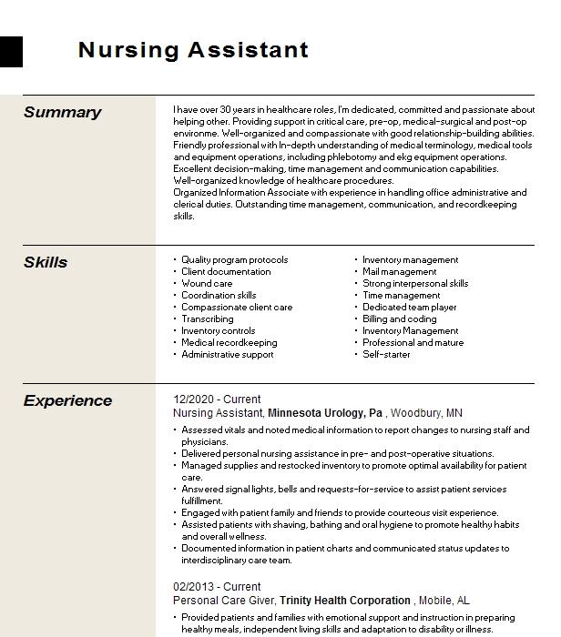 Personal Care Giver Resume Example