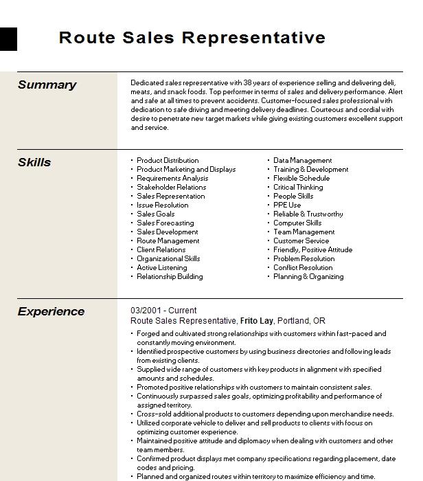 Route Sales Representative Resume Example