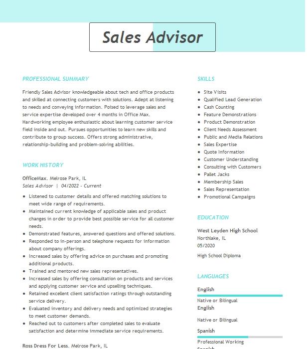 Sales Advisor Resume Example