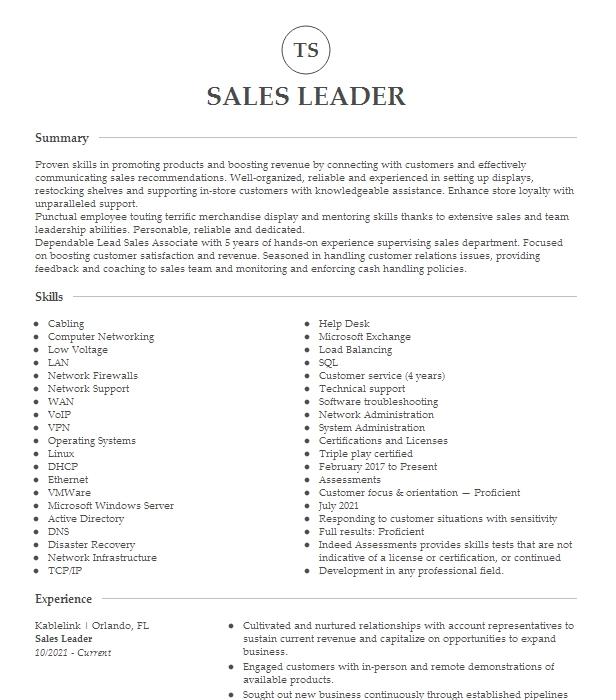 Sales Leader Resume Example