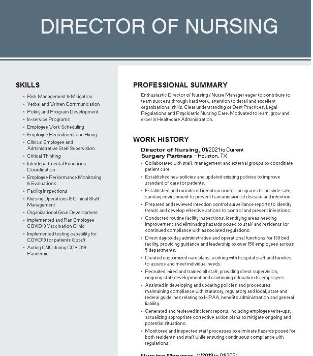 Director Of Nursing Resume Example