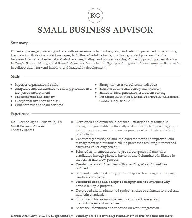 Small Business Advisor Resume Example