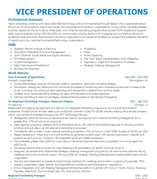 Vice President Of Operations Resume Example