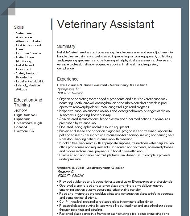 Veterinary Assistant Resume Example